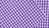 4226/60/20 - Purple